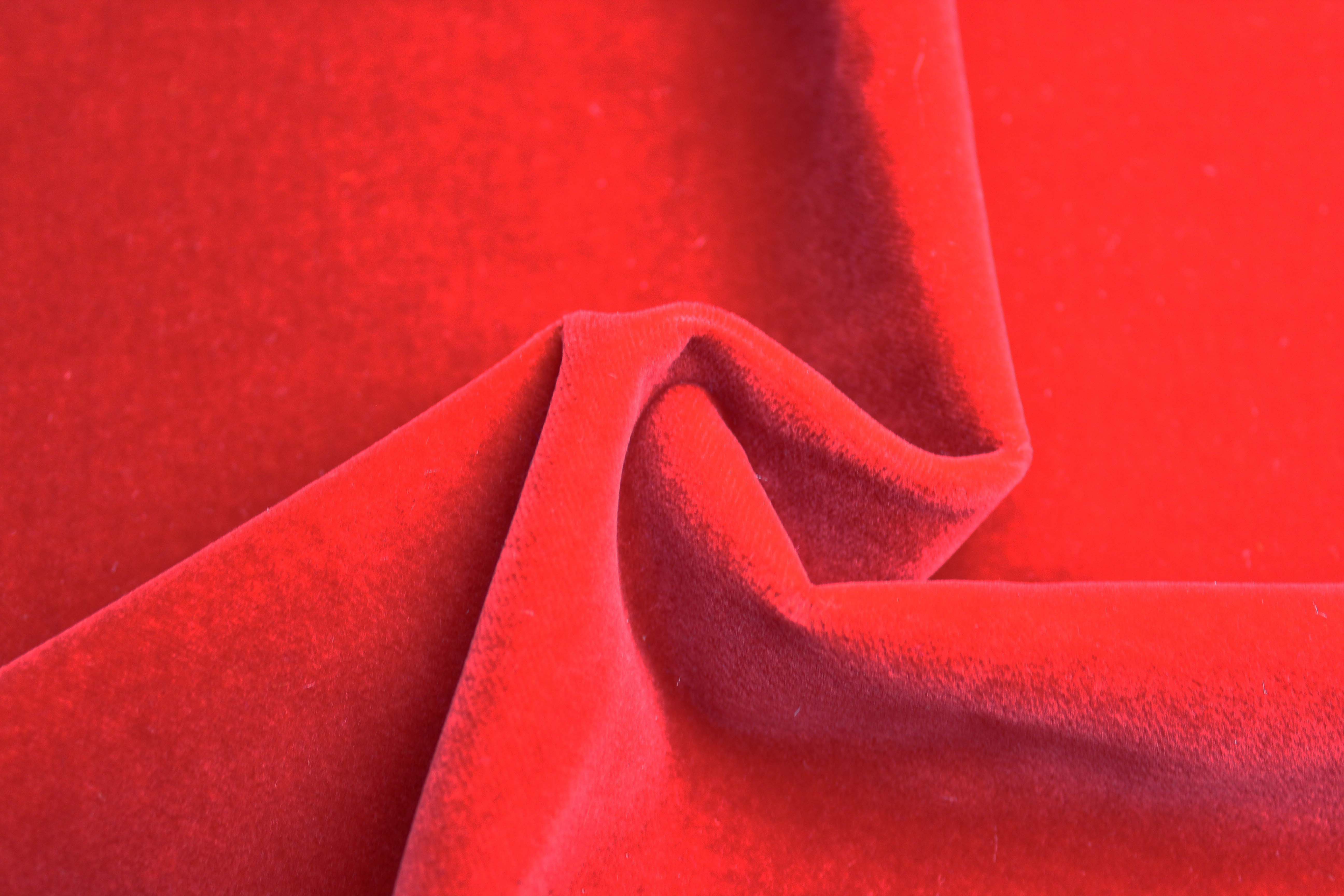 COTTON MODAL VELVET - RED